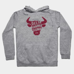 Delta Gamma Sigma Hoodie